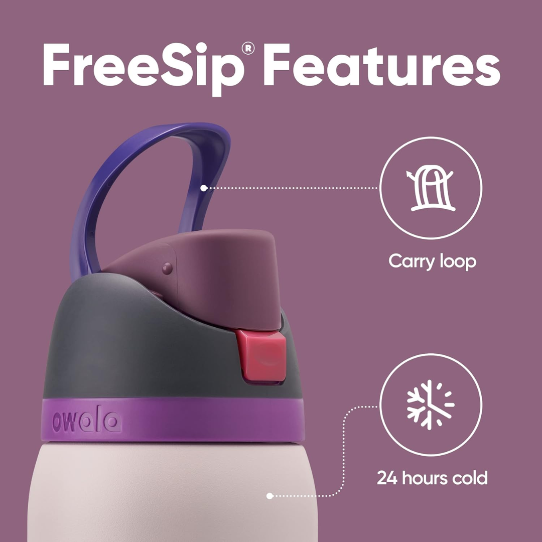 Owala FreeSip 24 oz Dreamy Field